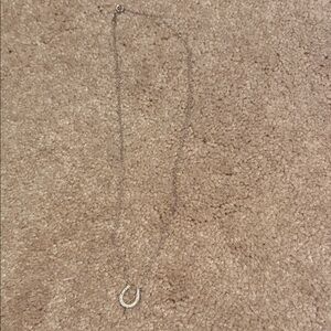 Elegant Silver Horseshoe Necklace